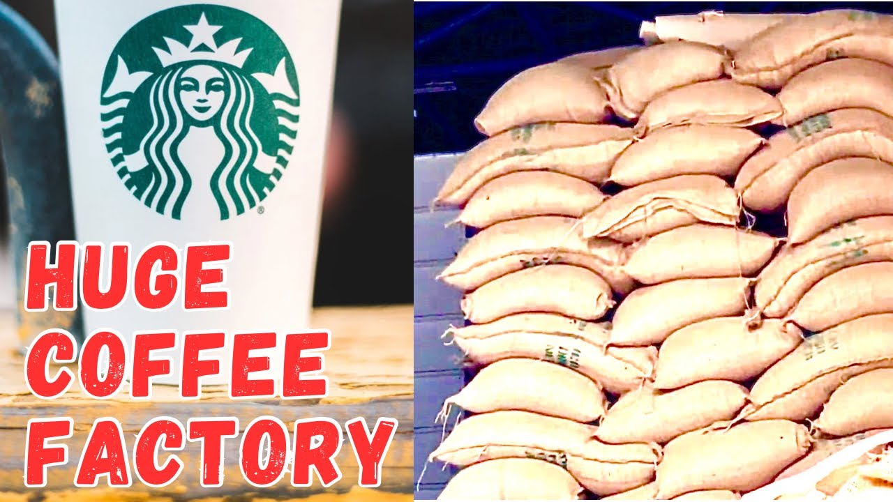 Tons of Coffee! | Inside the Coffee Factory / Africa!