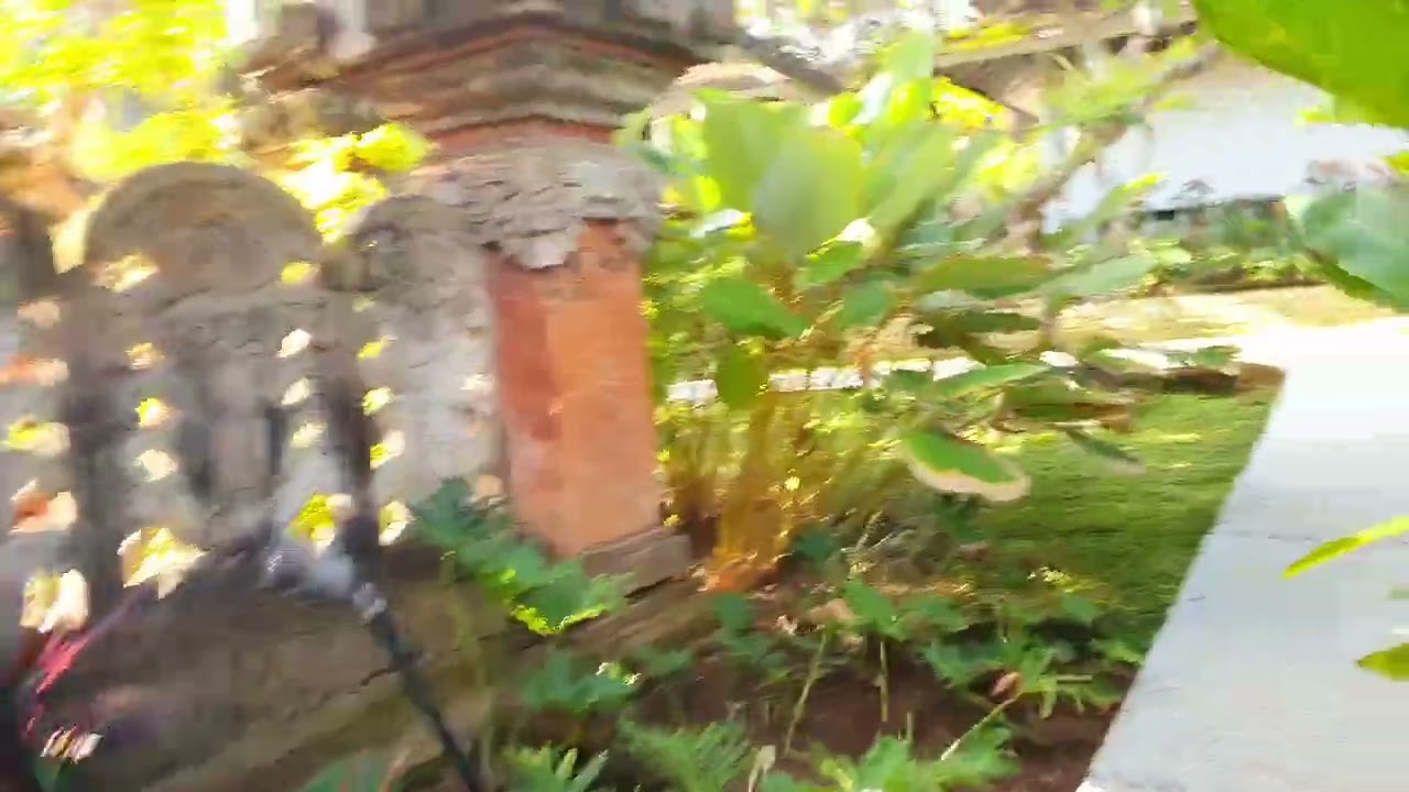 Bali Garden Beach Resort walk through