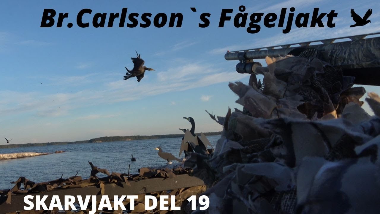 Skarvjakt Del 19