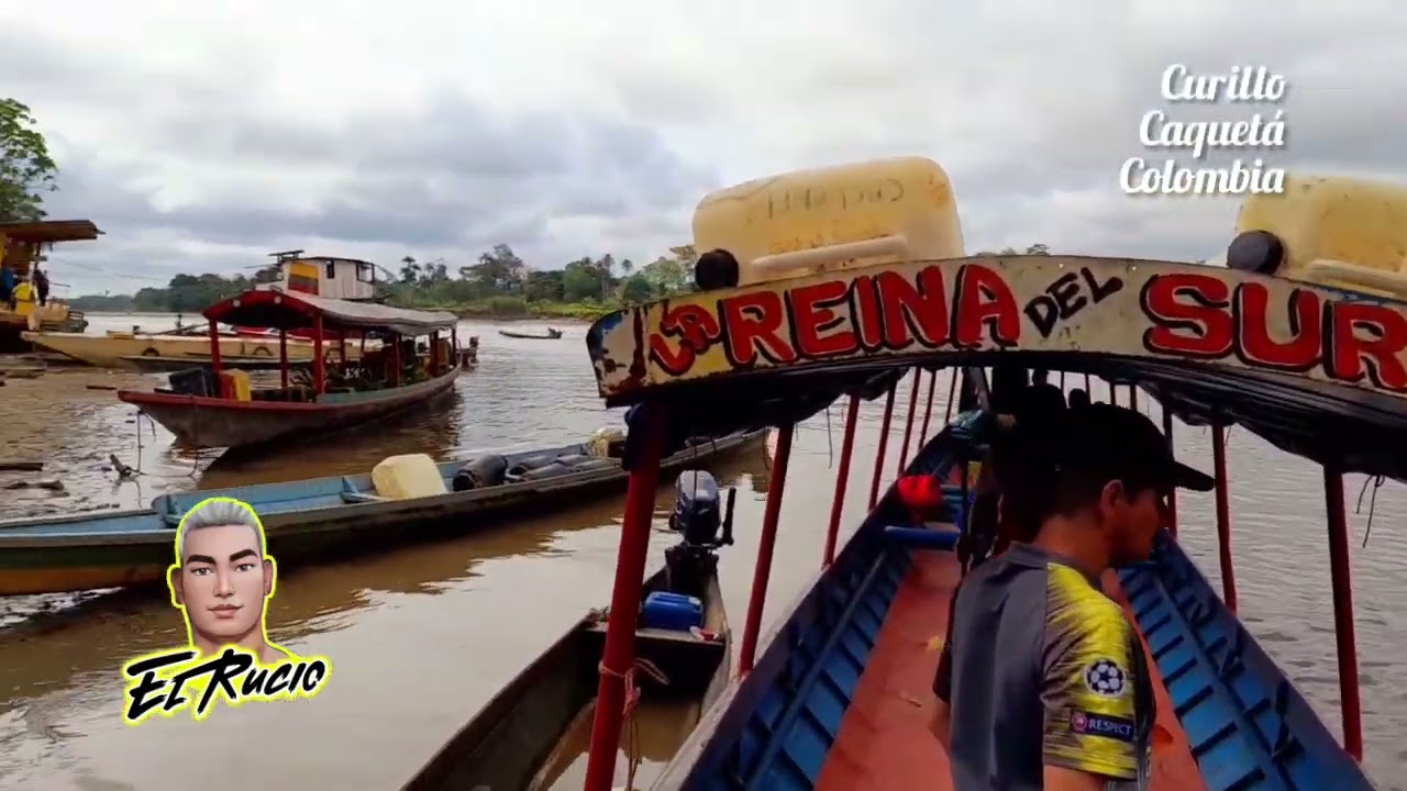 cosecha de chontaduro en curillo Caquetá colombia