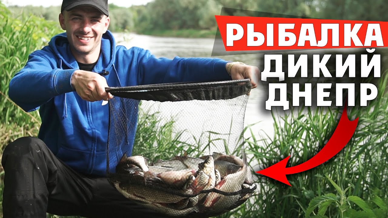 Ловля рыбы ФИДЕРОМ на ДИКОМ ДНЕПРЕ в ИЮНЕ! Рыбалка 2020!