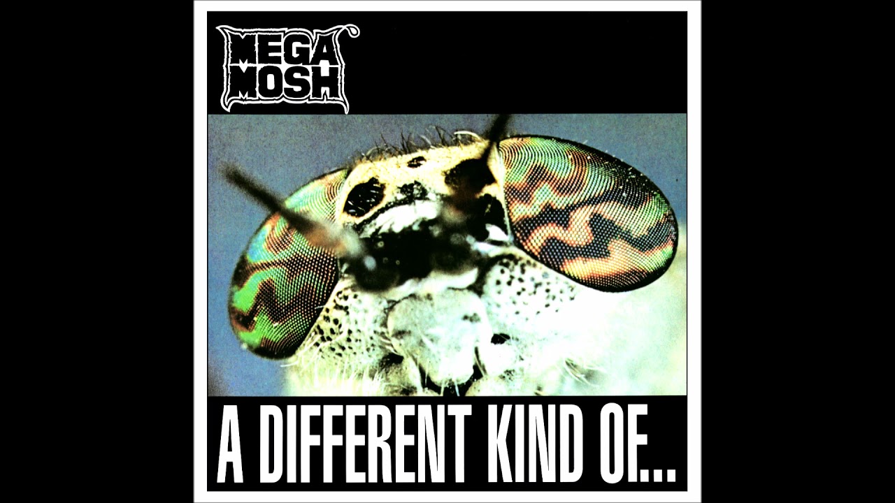 MEGAMOSH : 