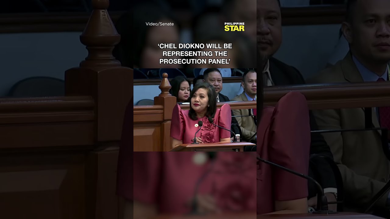 CHEL DIOKNO БУДЕТ ПРЕДСТАВЛЯТЬ СТОРОНУ ОБВИНЕНИЯ