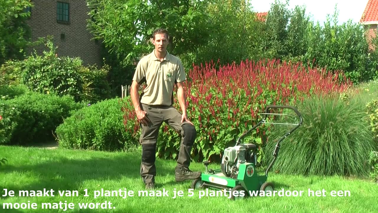 Gazononderhoud - stappenplan voor een mooie groene grasmat