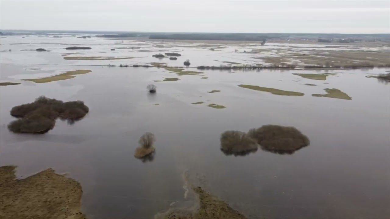 Podlaskie morze? Nie to Narew
