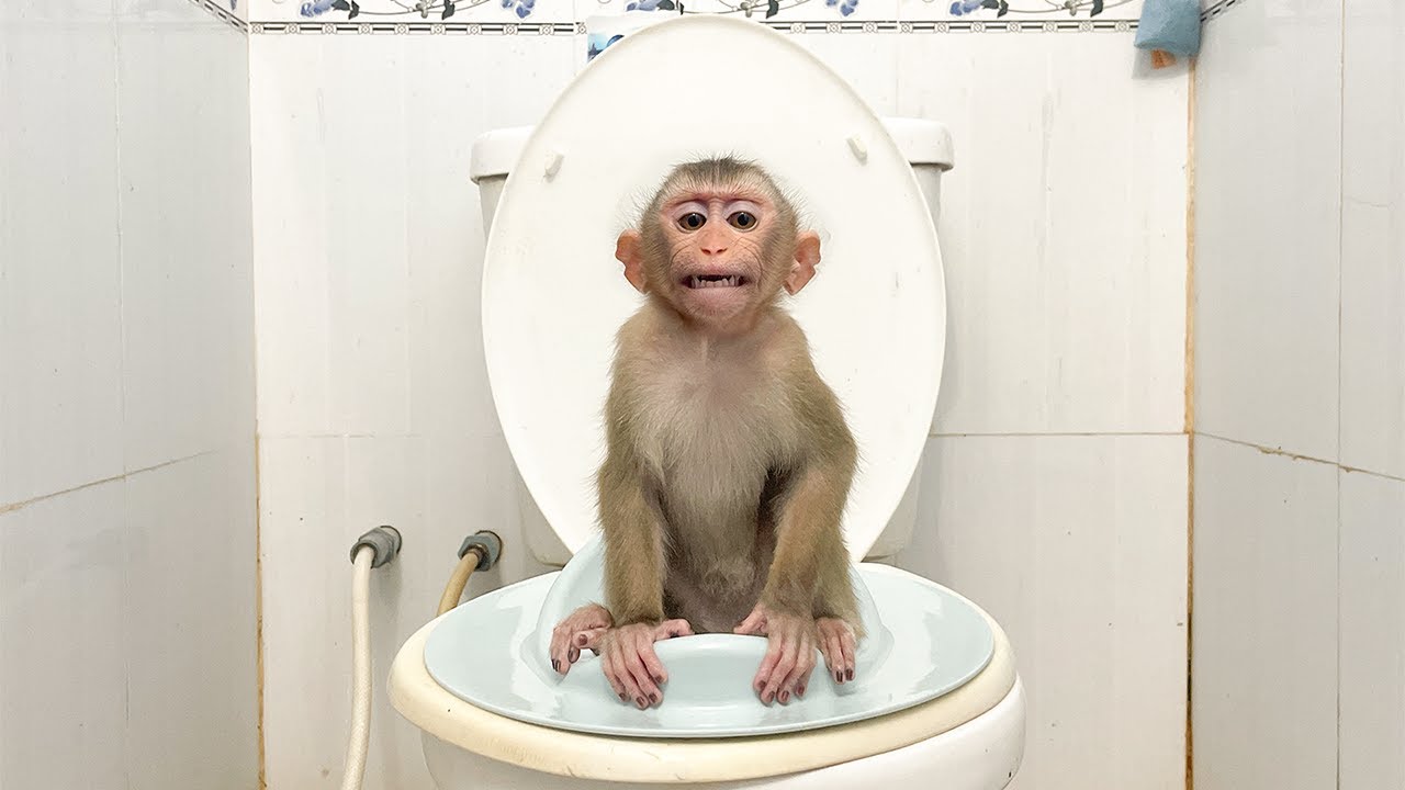 YuYu Stomachache and makes Funny expression while Pooping!