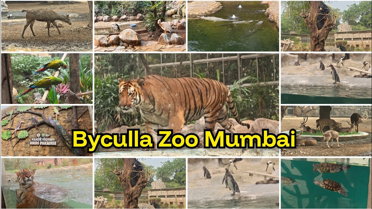 Byculla Zoo Mumbai Complete Tour Guide 2026 | Rani Baug Zoo Byculla | Mumbai Zoo #zoo #mumbaitourism