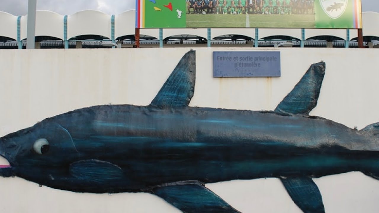 Un Coelacanthe géant au stade de Malouzini