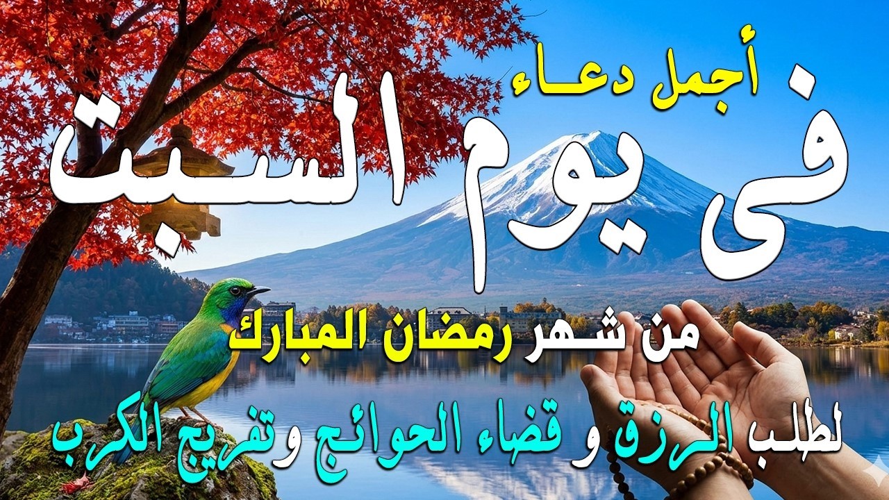 دعاء فى يوم الثلاثاء المستجاب دعاء يوم 13 من شهر رمضان للرزق والشفاء العاجل وقضاء الحوائج 🤲(4k)