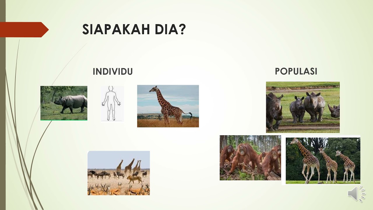 Ekosistem(Jenis Ekosistem, Komponen Biotik-Abiotik, Habitat, Individu, Populasi, Komunitas).