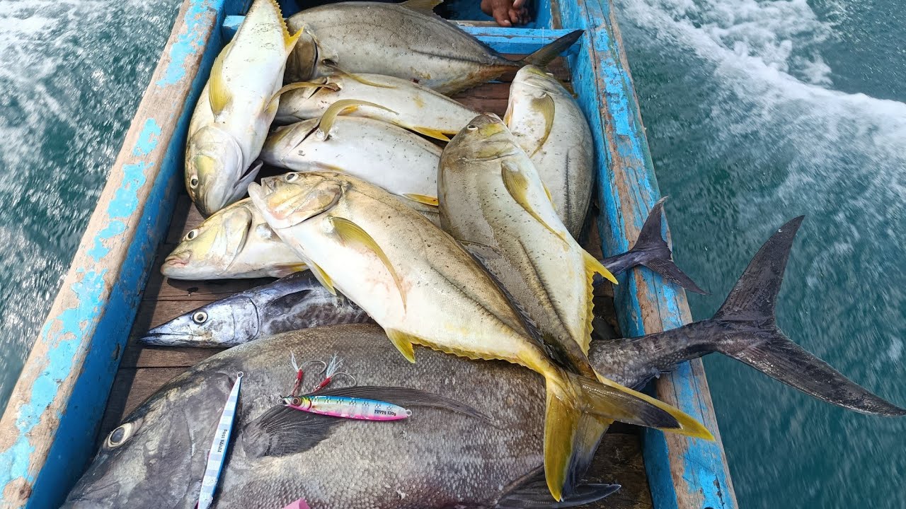 Light Jigging Panen strike Cakal kuning || yellow fin trevally