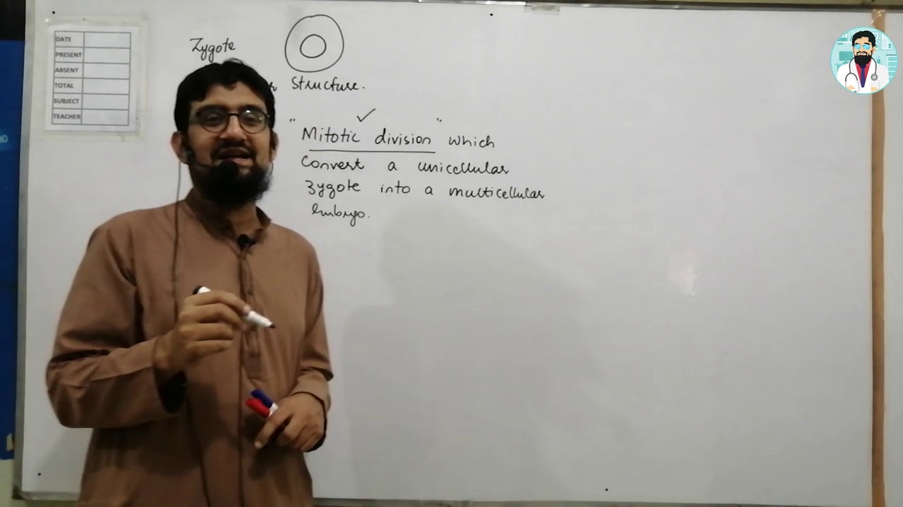 Introduction of Development | Types of Cleavage | Hindi / Urdu