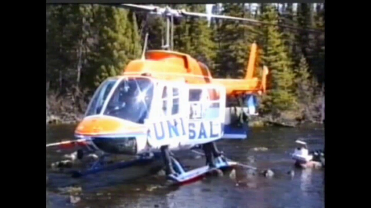 Canada Goose Bay 1987 D1