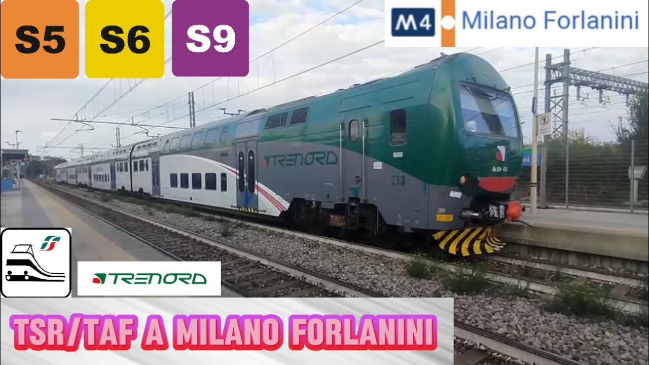 🚉 TAF e TSR nella stazione di MILANO FORLANINI sulle linee 🟠 S5, 🟡 S6 e 🟣 S9