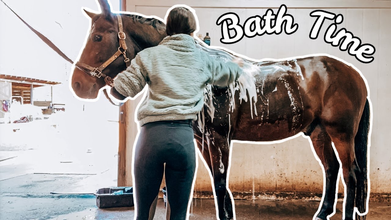give my horse a bath w/ me!! | vlogmas day 23 | Eleese S