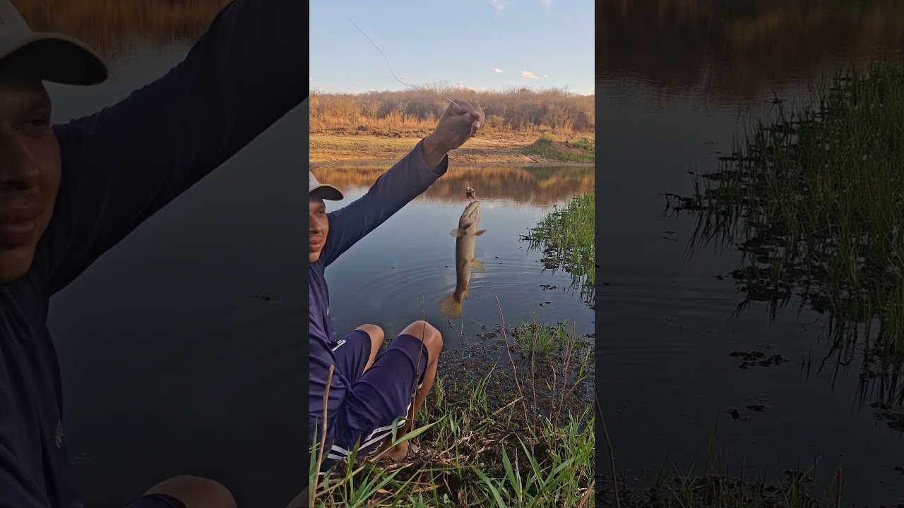 Isca matadeira pra pegar tra&iacute;ra.  #pesca #pescaria #tra&iacute;ra