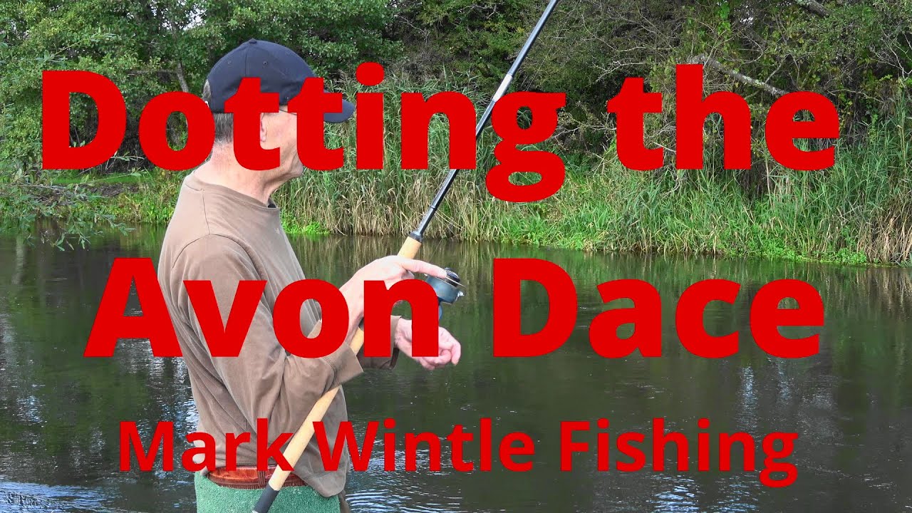 Dotting the Avon Dace