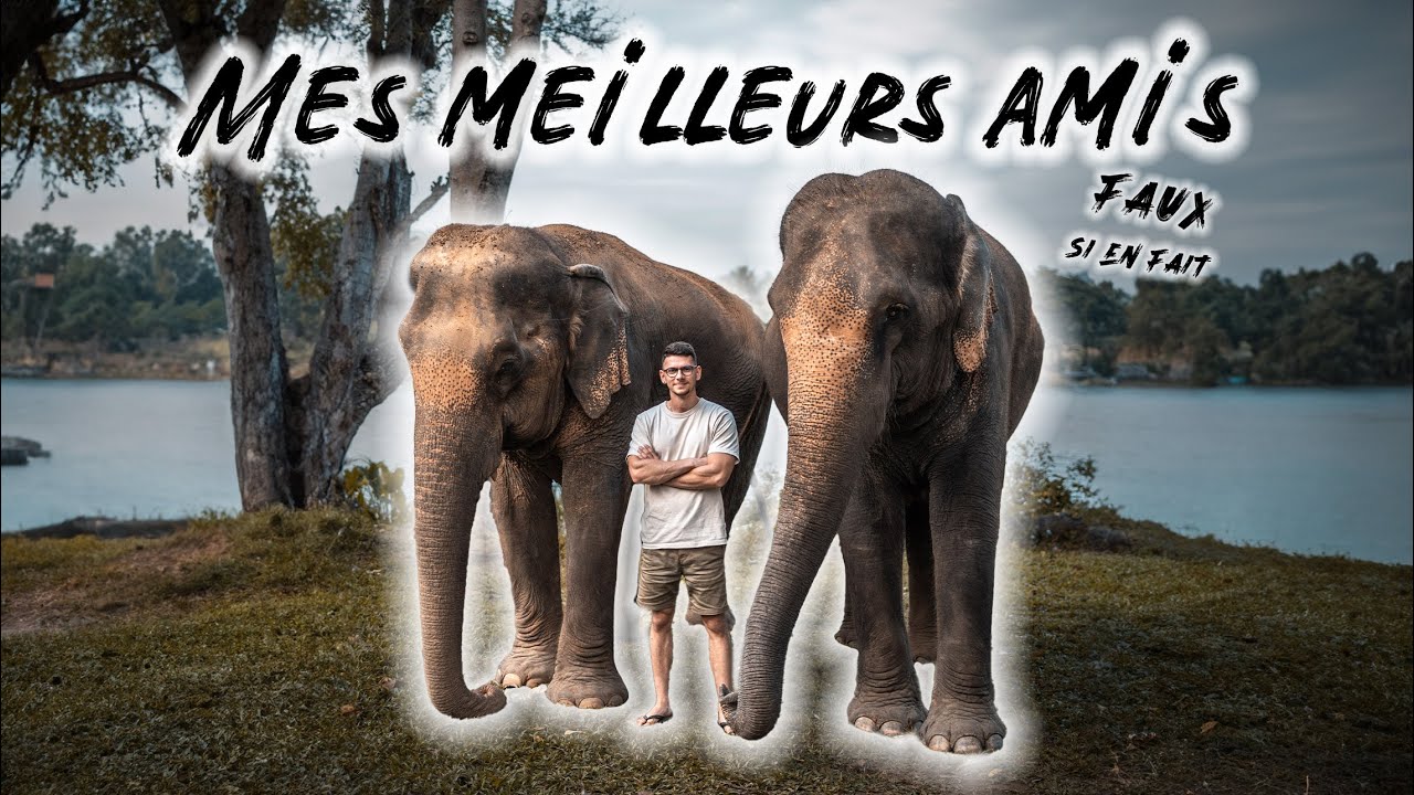 VIVRE avec les  &Eacute;L&Eacute;PHANTS - Tha&iuml;lande [VLOG CIN&Eacute;MATIQUE]