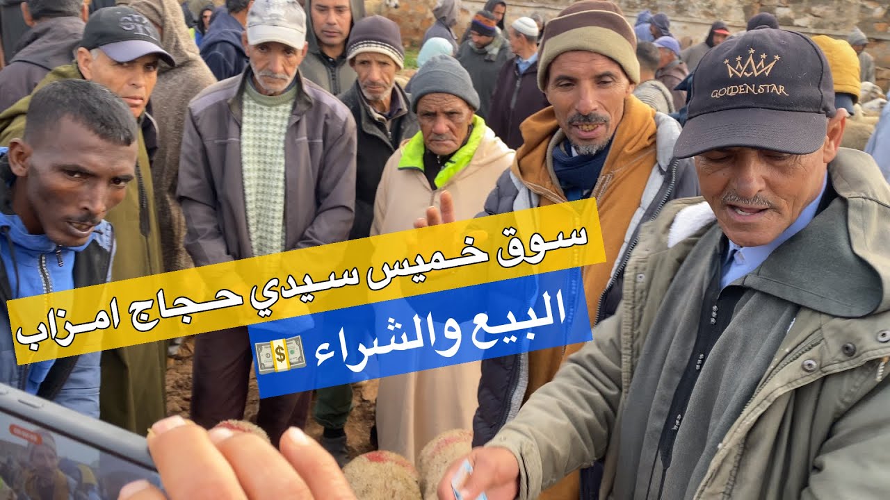 اليوم من سوق خميس سيدي حجاج امزاب 26/02/2026 التمن حولي🐏✅