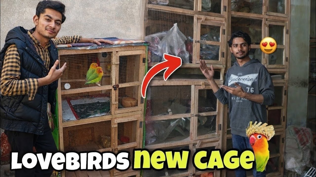 Lovebirds ke liye new cage le aye😍😍