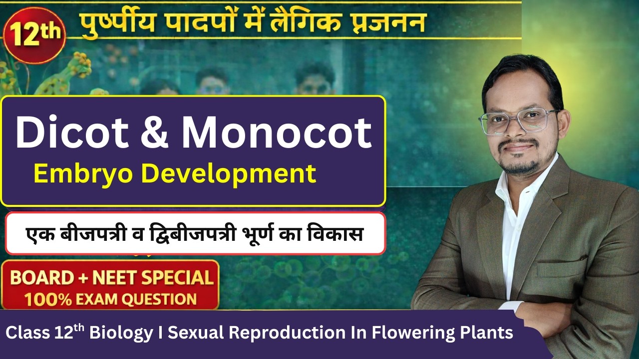 Dicot vs Monocot Embryo Development | Class 12 Biology  | एकबीजपत्री व द्विबीजपत्री भ्रूण विकास