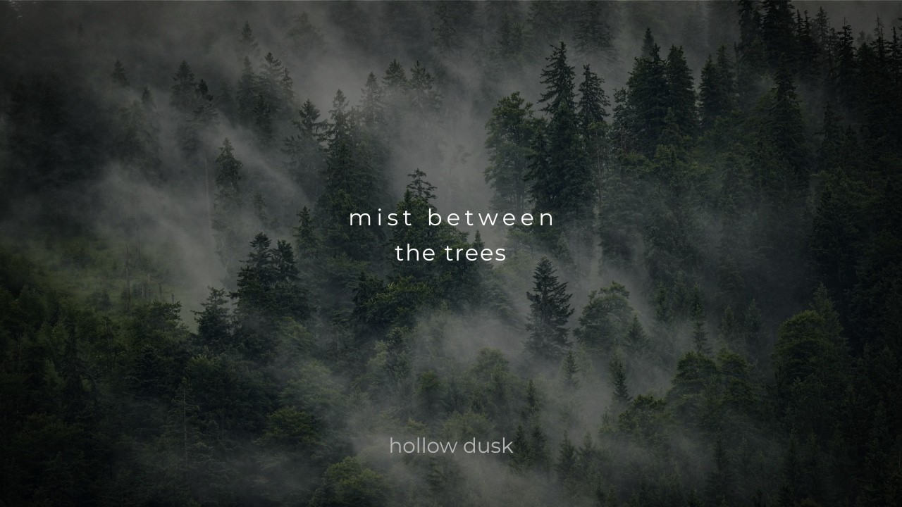 Mist Between the Trees | Dark Forest Ambient | 1 Hour