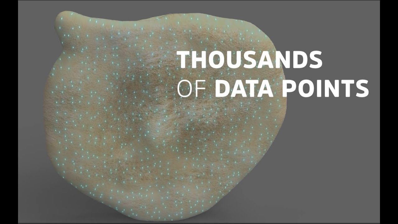 Smarter, More Efficient Seed Sorting AI-Powered Seed-X GeNee Technology