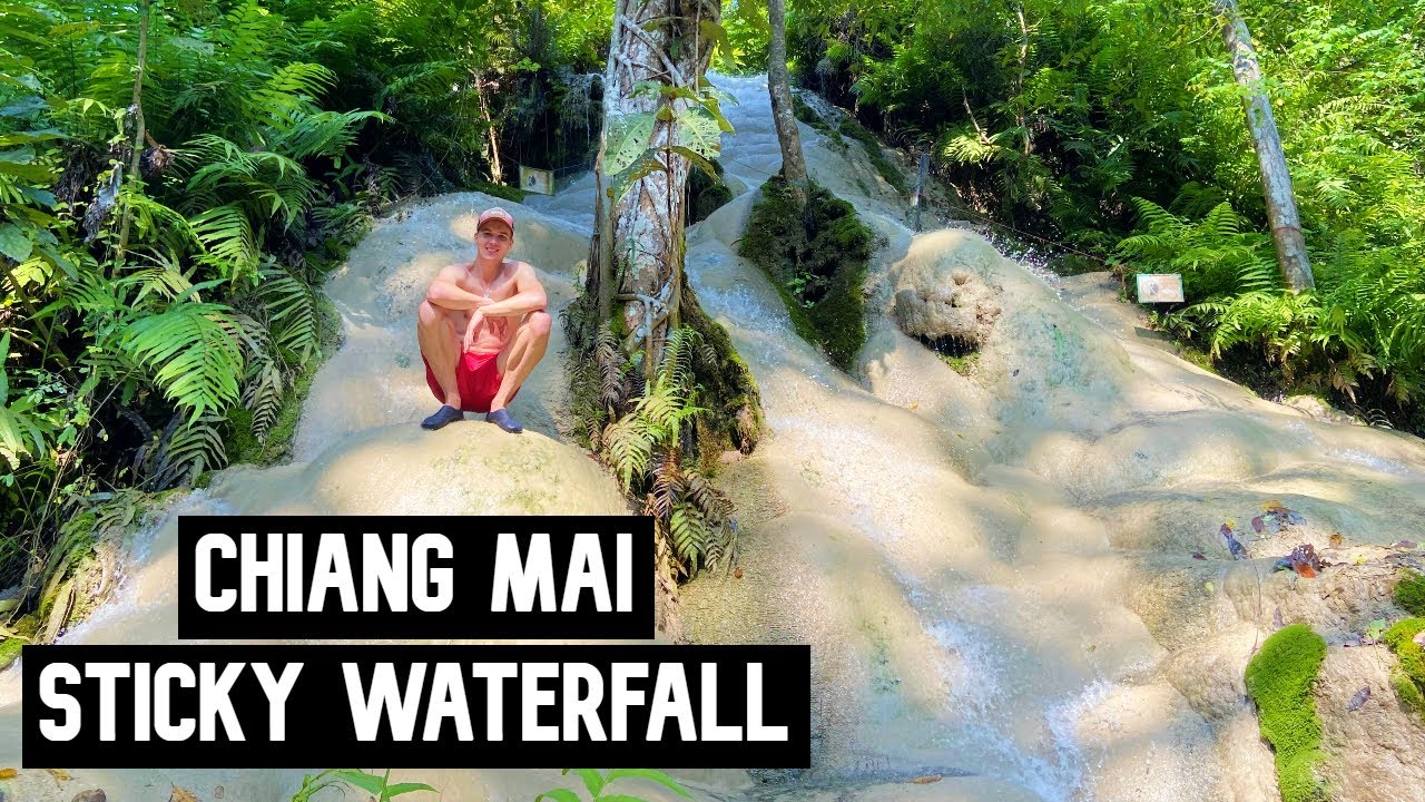 CHIANG MAI STICKY WATERFALL, BUA THONG | THAILAND 🇹🇭