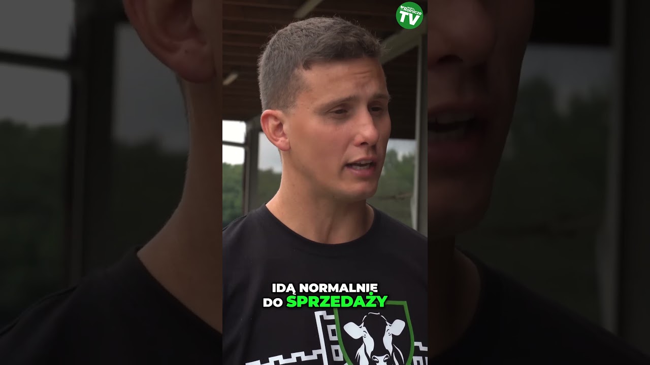 D&oacute;j ćwiartkowy w oborze pana Karola. Rolnik m&oacute;wi o jego zaletach #obora #d&oacute;j #rolnik #rolnictwo
