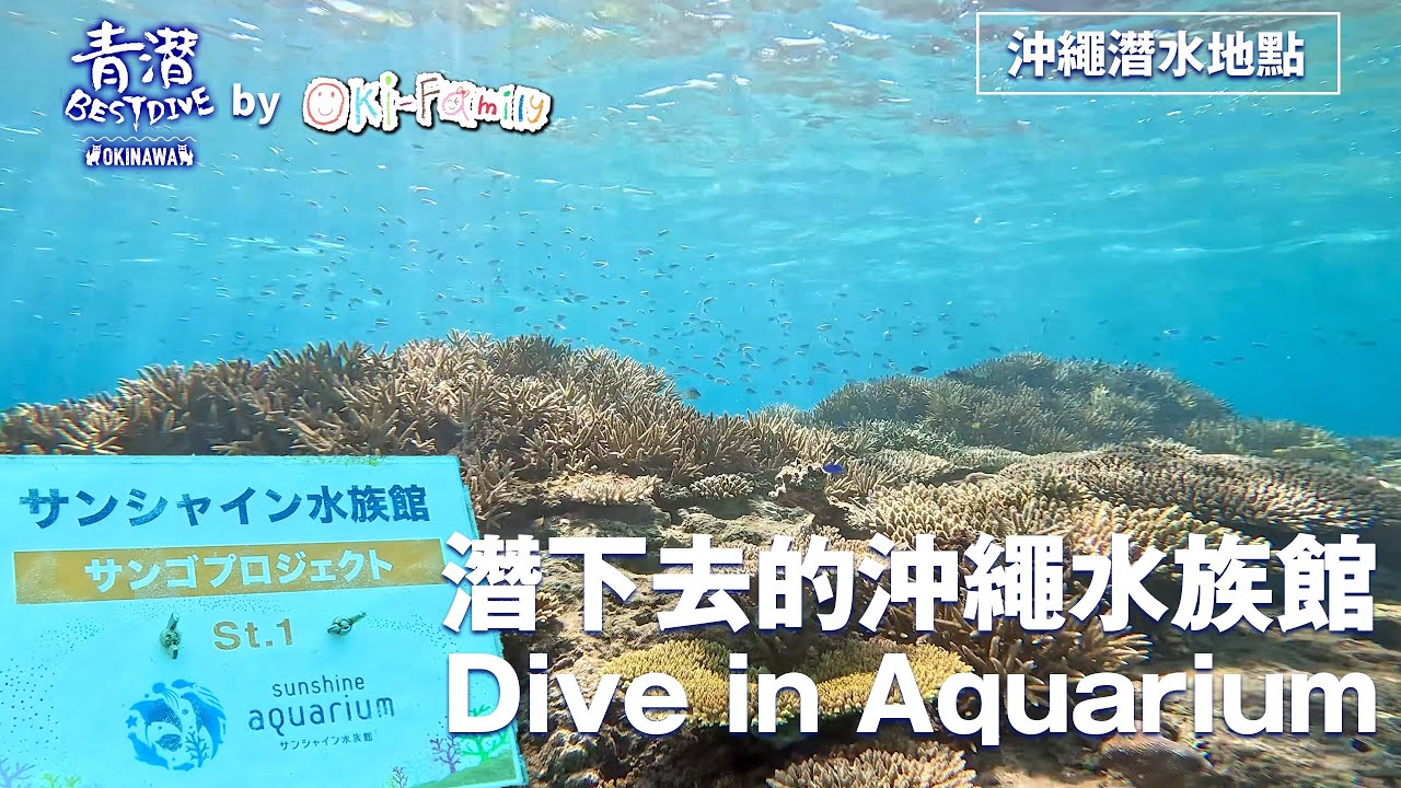 【#沖繩潛點 Okinawa Dive site】潛下去的沖繩水族館 Sunshine Aquarium Dive in Aquarium  (超高清 4K)