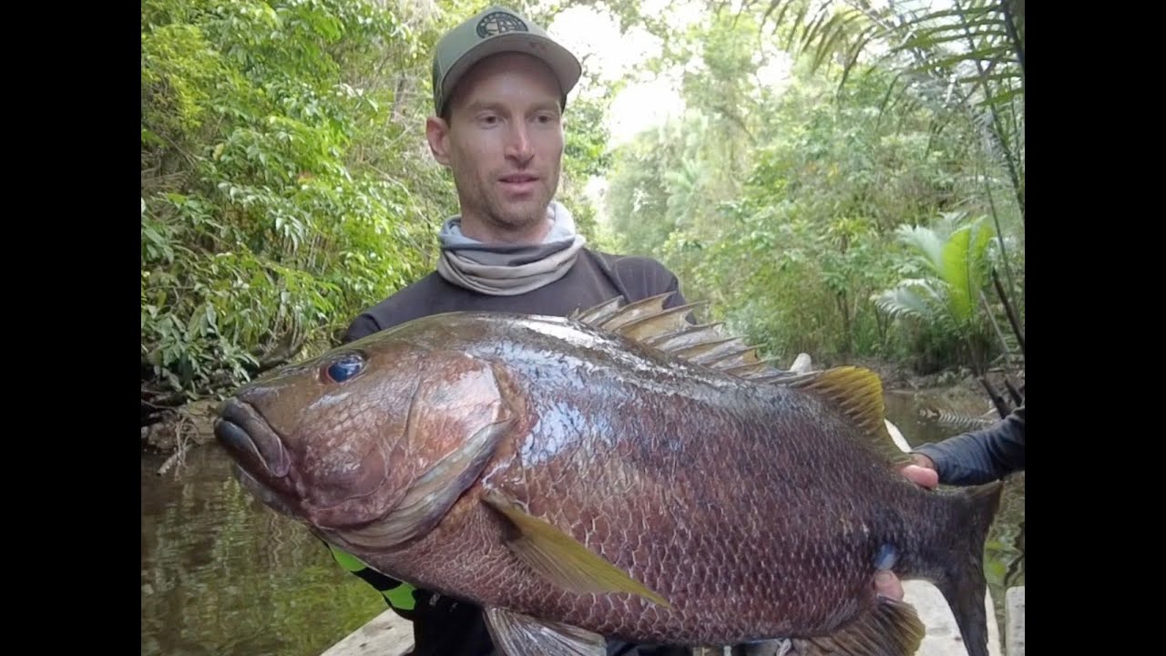DRANCKRAZY Papuan Black Bass hunting  in Indonesia