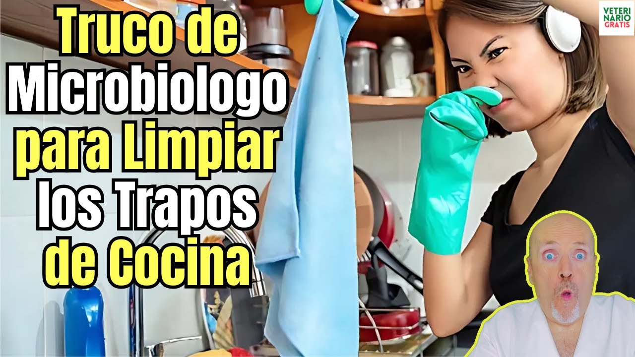 😱 ¿COMO DESINFECTAR LOS TRAPOS Y ESTROPAJOS DE COCINA CON ESTE TRUCO DE MICROBIOLOGO? 😱