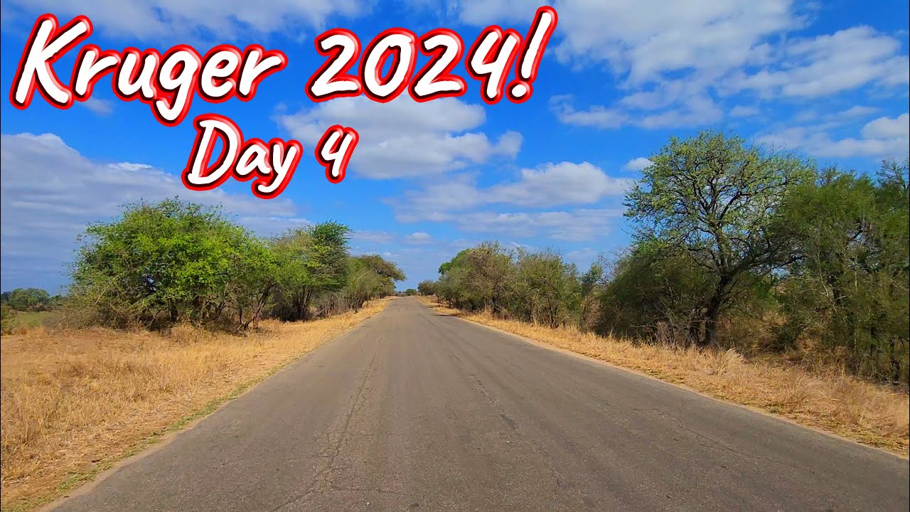 Day 4 &ndash; Kruger National Park! Ep 544
