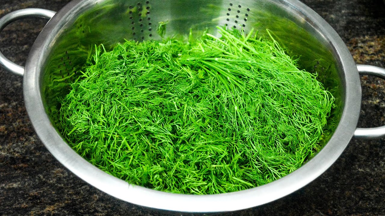 शेपूची भाजी निट कशी करायची आणि खुप सार्‍या टिप्स | Shepu Information | Maharashtrian Recipes
