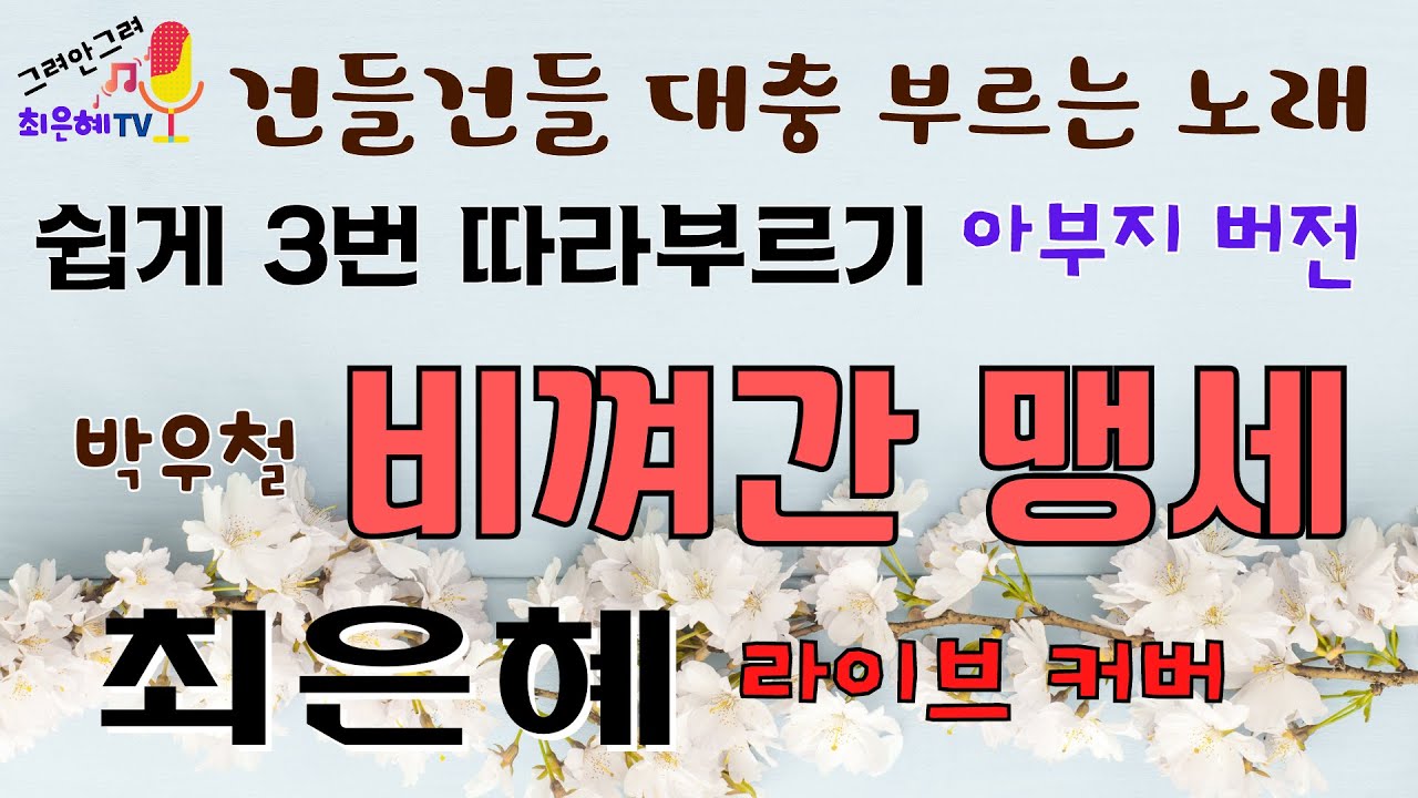 건들건들 대충 따라부르기 박우철의 비껴간 맹세-최은혜 라이브