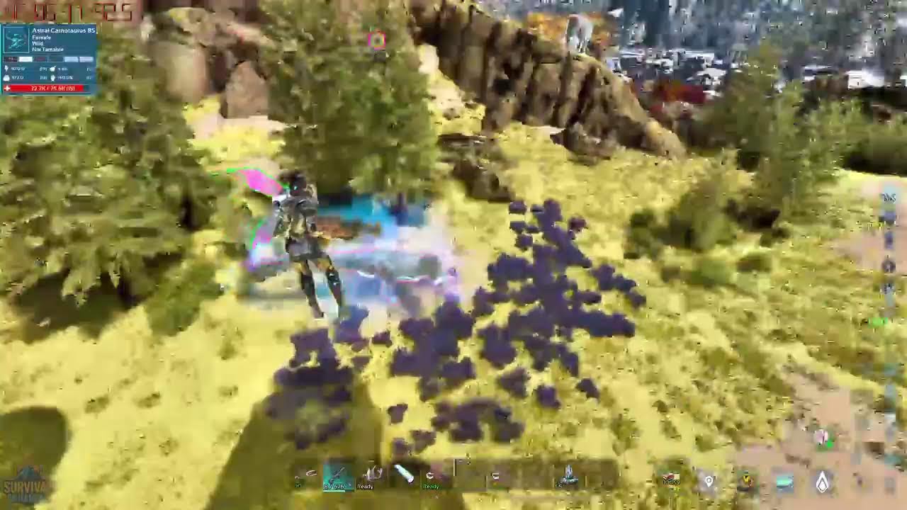 ark