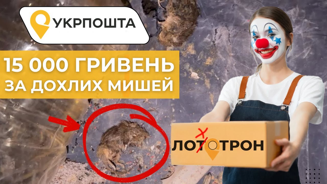 Аукціон від Укрпошти: 100 коробок непотребу за 15 тисяч гривень