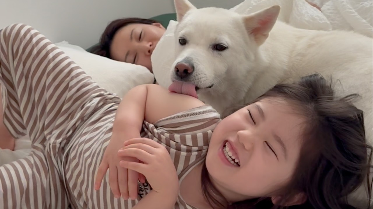 4개월만에 재결합 ❤️  한겨울인게 믿기지 않을 만큼 따듯하고 행복한 통영여행 다녀왔어요 😊 