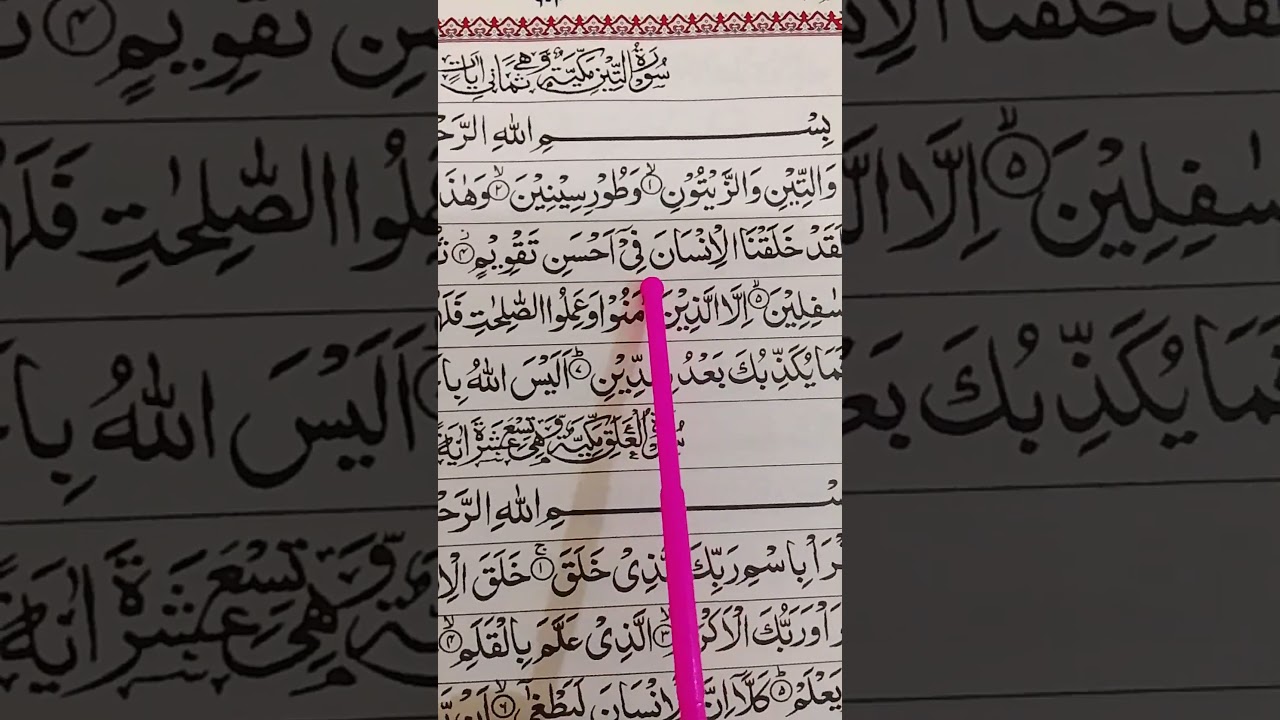 surah tin #canada #usa #uk #muslim #islam #islamicvideo #quran
