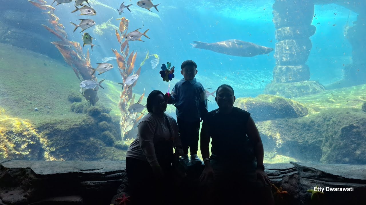 BALI SAFARI & MARINE PARK #balisafari #bali #sealife #marinepark 