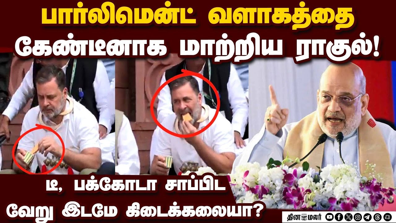 ஜனநாயக கோயிலை கேலிக்கூத்தாக்கும் எதிர்க்கட்சித் தலைவர்: ராகுல் மீது அமித் ஷா ஆவேசம் Amit Shah