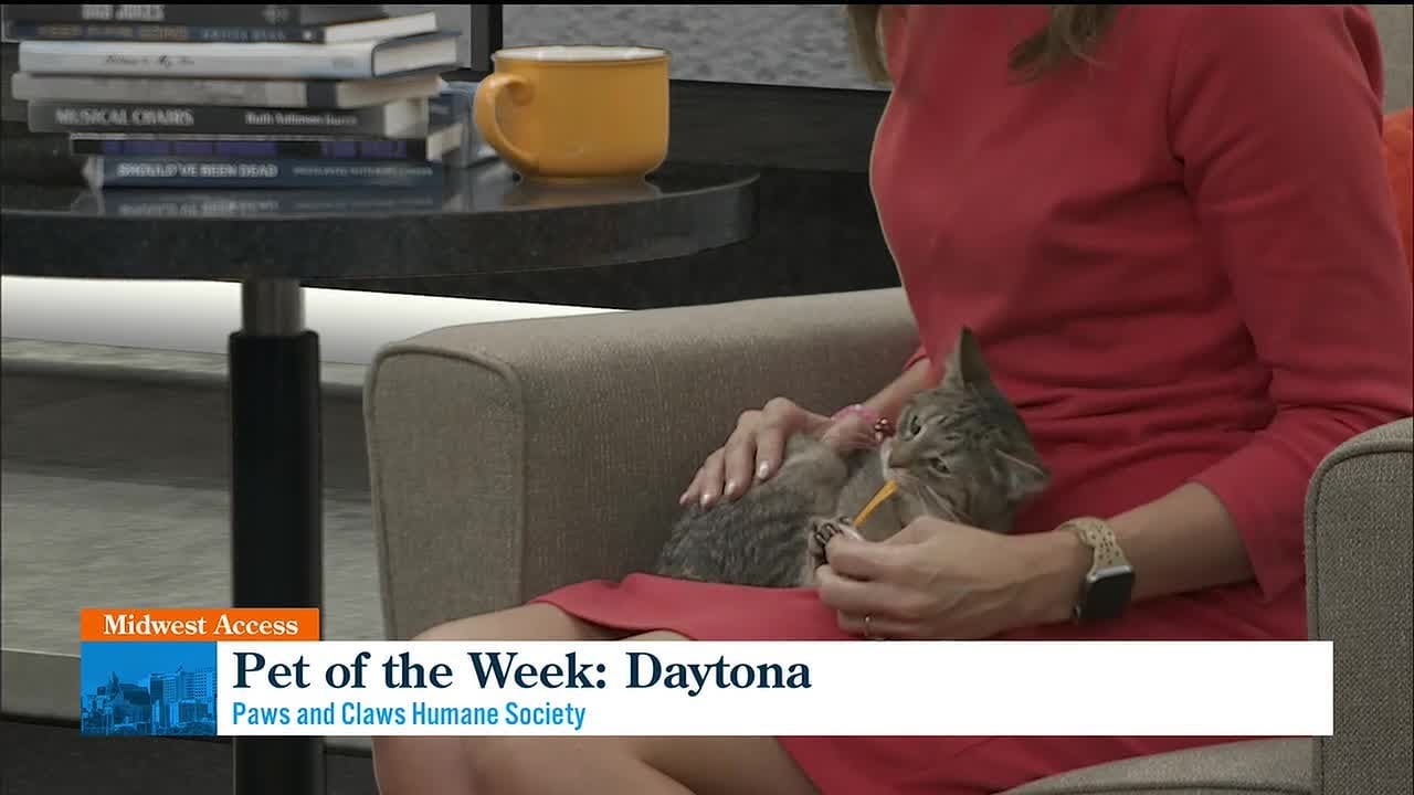 Midwest Access: Pet of the Week - Meet Daytona!