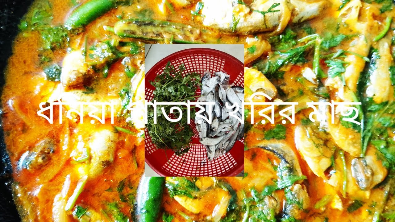 স্বাদে ভরপুর ধনিয়া পাতায় খরির মাছ ভুনা। sufian vlogs 09 