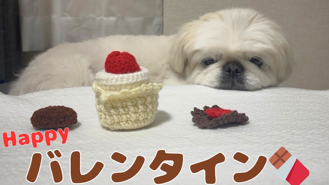 【基本興味ない】スイーツをプレゼント！