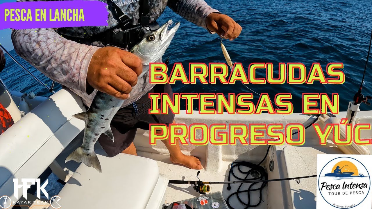 BARRACUDAS INTENSAS EN PROGRESO YUCATÁN¡¡¡