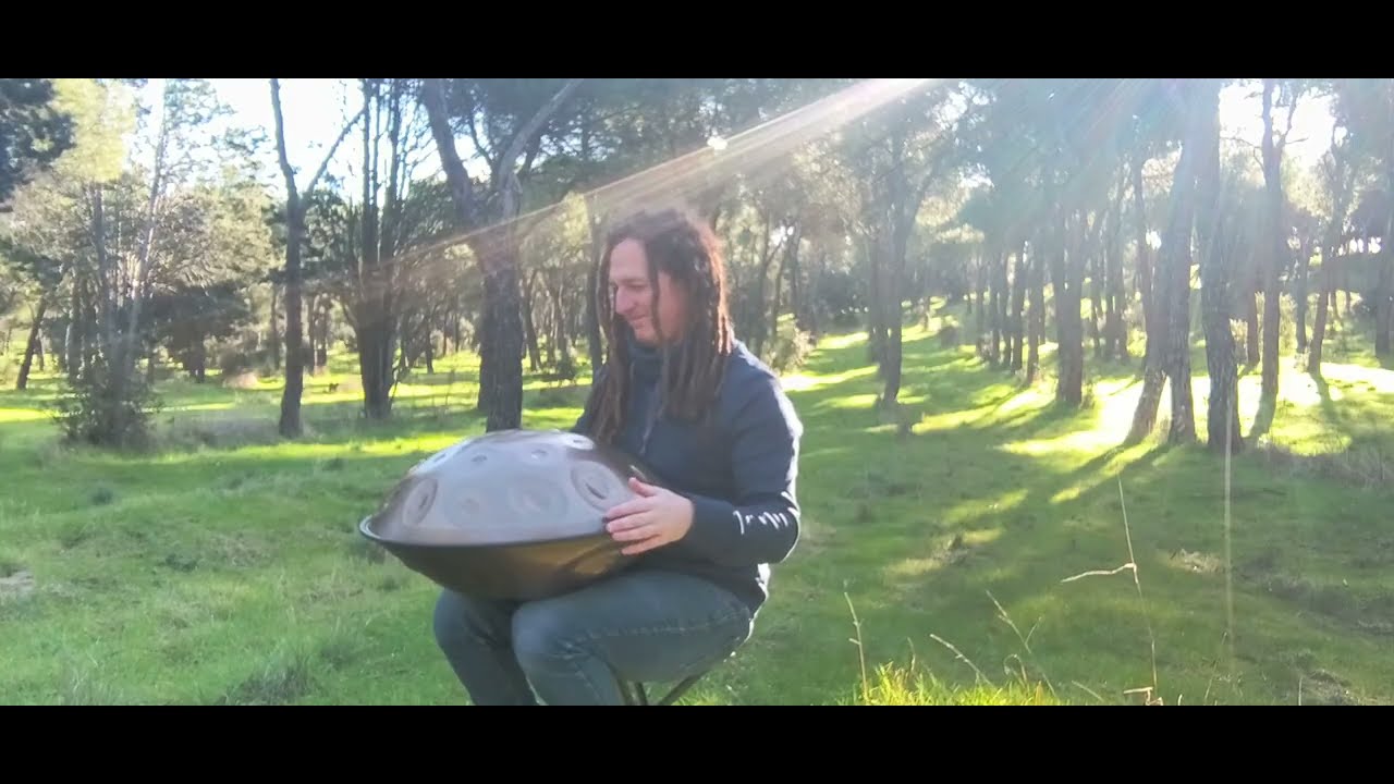 Handpan Meditation in Sunny Woods - Calming music session for a break during the day