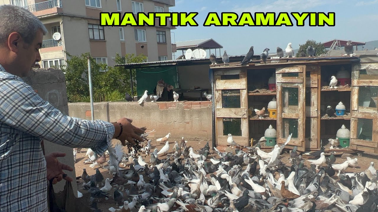 DÜNYAYA Bİ KERE GELMİYCEZ Mİ ?