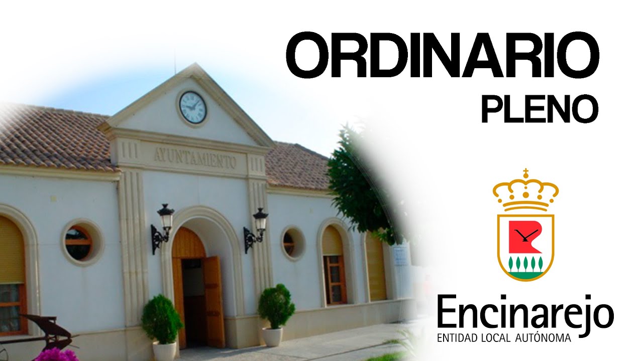 PLENO ORDINARIO | 20 DE OCTUBRE 2025