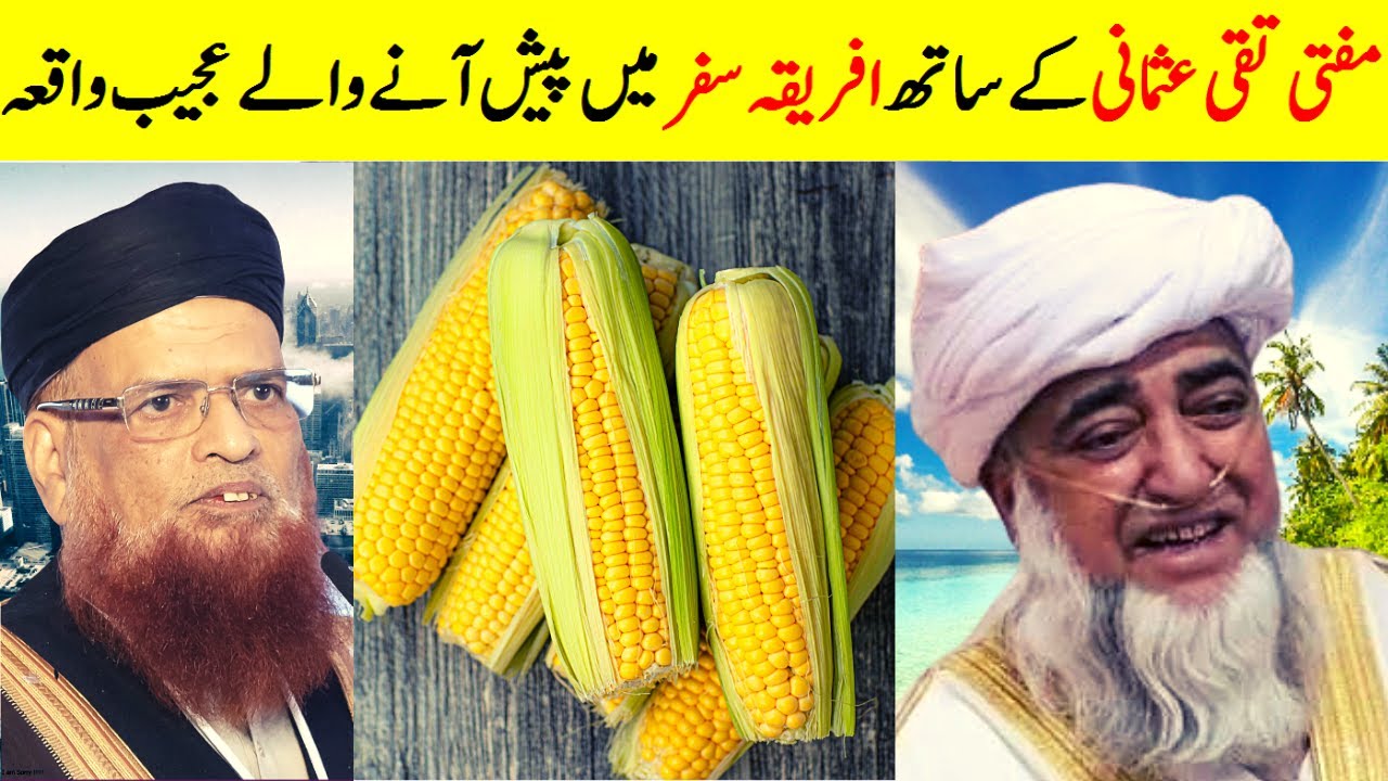 Mufti Taqi Usmani's trip to Africa || Amazing Story by Mufti Zarwali khan