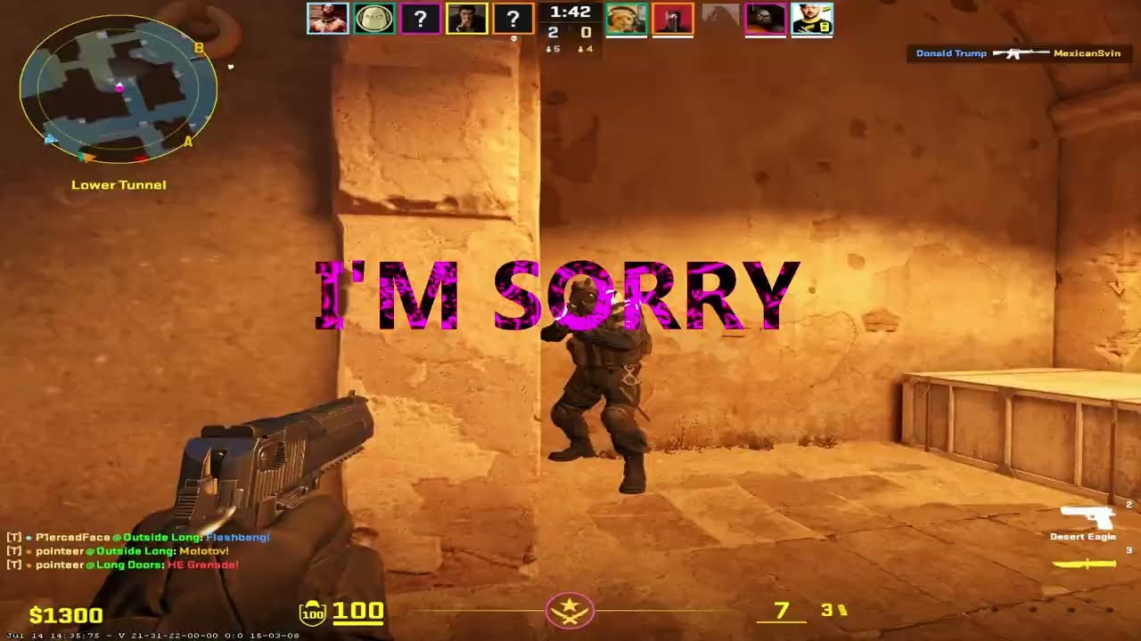 Alone  (cs2 fragmovie)